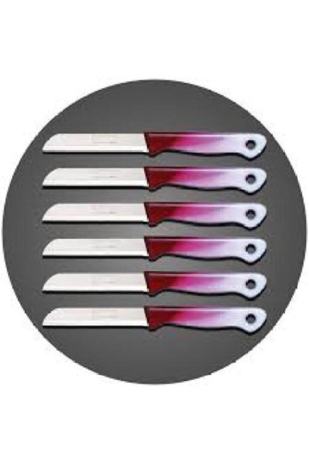 6lı Solingen Meyve Bıçağı - 3