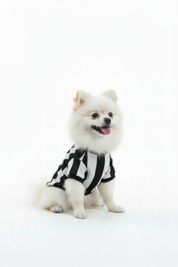 Cat-Dog Fan Jersey Black White - Small Breed