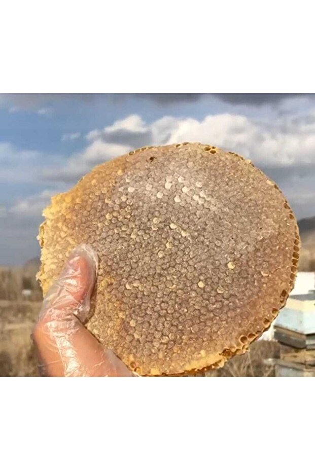 Tat Bal Karakovan Gerçek Bal 1.3kg - 2