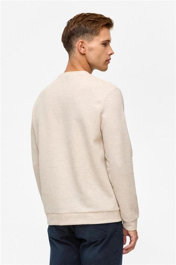 Bej Regular Düz Bisiklet Yaka Sweatshirt - 4