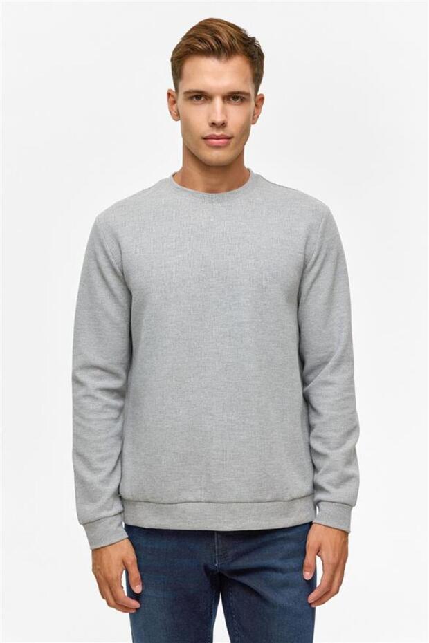 Gri Regular Düz Bisiklet Yaka Sweatshirt - 1