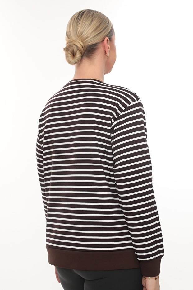 مقاس كبير. مودال مخطط - 4