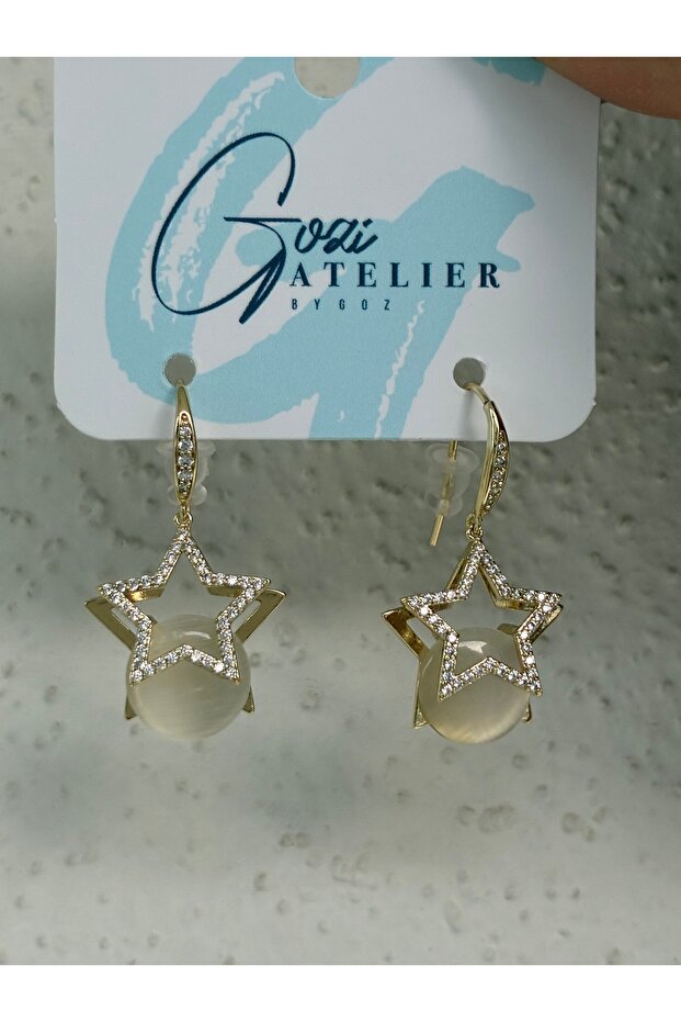 Star Figured Stone Detailed Steel Earrings
