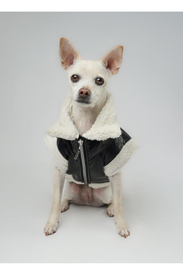 Zippered Fur Leather Dog Outfit Black Medium