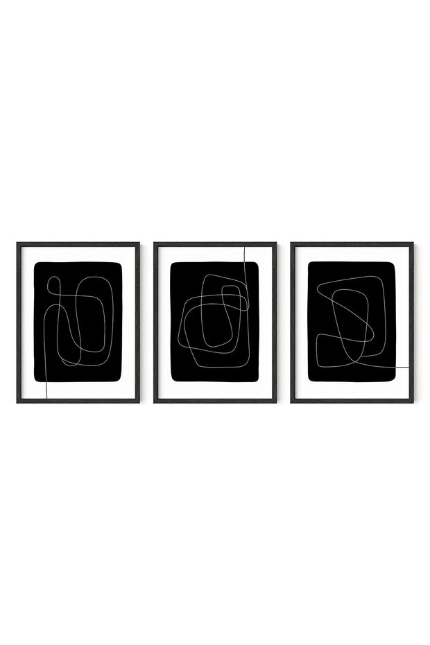 ALAYRA Black and White Posters for Room Aesthetic Set of 3 - Line Art Wall Decor, One Line Art Print, Black and White Abstract Art, Minimalist Wall Art, Black and White Prints30X40 CM