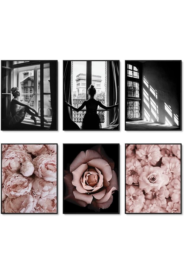 ALAYRA Romantic Roses Fashion Wall Art Prints Set of 6 Black and White Pink Minimalist Wall Art Canvas Painting Posters Prints Poster Set for Living Room Bedroom Home Decor30X40 CM