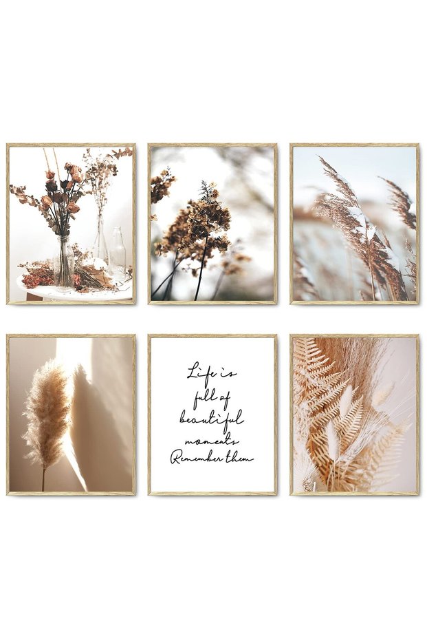 ALAYRA Nature Landscape Plant Wall Art Prints Set of 6 Canvas Painting Minimalist Botanical Wall Decor Pictures Reed Dried Flower Plants Print Posters Set for Living Room Bedroom20X25 CM