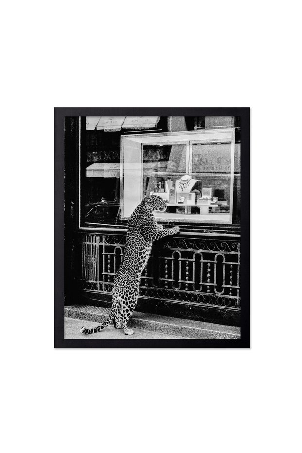 ALAYRA Poster Master Panther in the Jewelry Shop Poster - Cheetah Print - Fashion Art - Black & White Art - Photography Art - Trendy Art - Modern Art - Chic Bedroom or Office20.3X25.4 CM