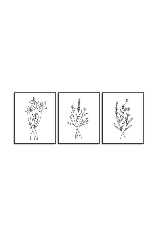 ALAYRA Wall Art Prints & Pictures for Living Room, Bedroom, Kitchen, Bathroom, Hallway and Stairs, Abstract Wall Art, Minimalistic Room Decor, Botanical Prints, Plant Poster, Set20X25 CM