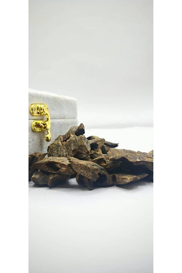 عود كينامي - 4