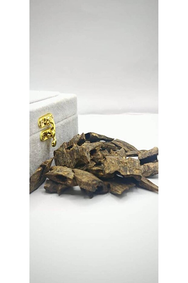 عود كينامي - 3