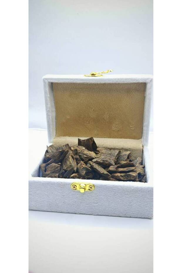 عود كينامي - 5