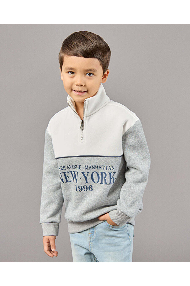 Boys Grey Printed Sweatshirt