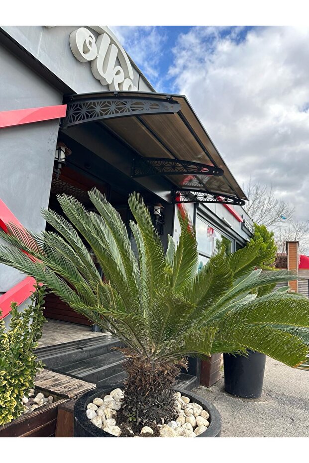 Çelik Kapı üstü sundurma - 1