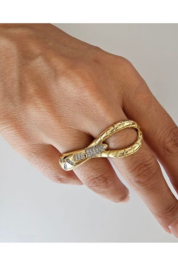 خاتم بتصميم مماثل للعلامة التجارية، خاتم مزدوج - 2