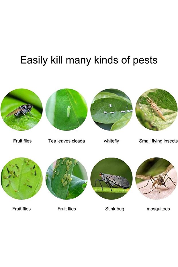 مصائد ذباب لاصقة صفراء - 7