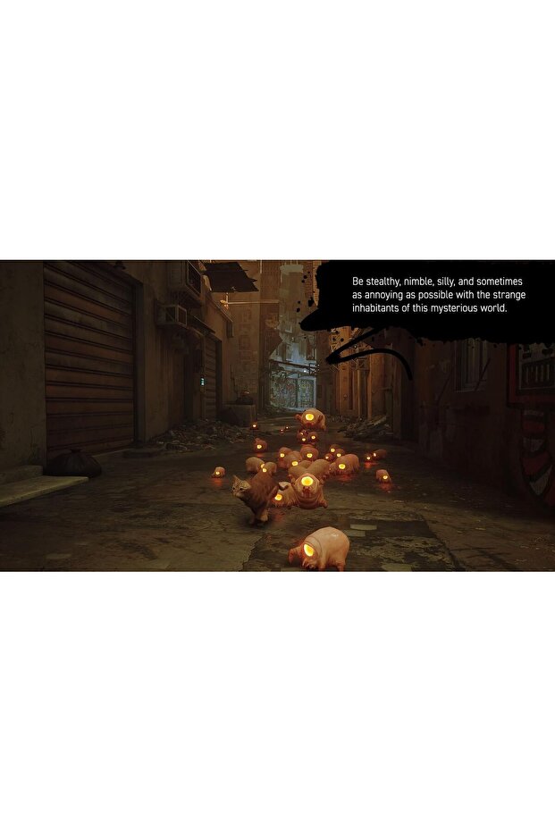 ضال جنوب غربي - 5