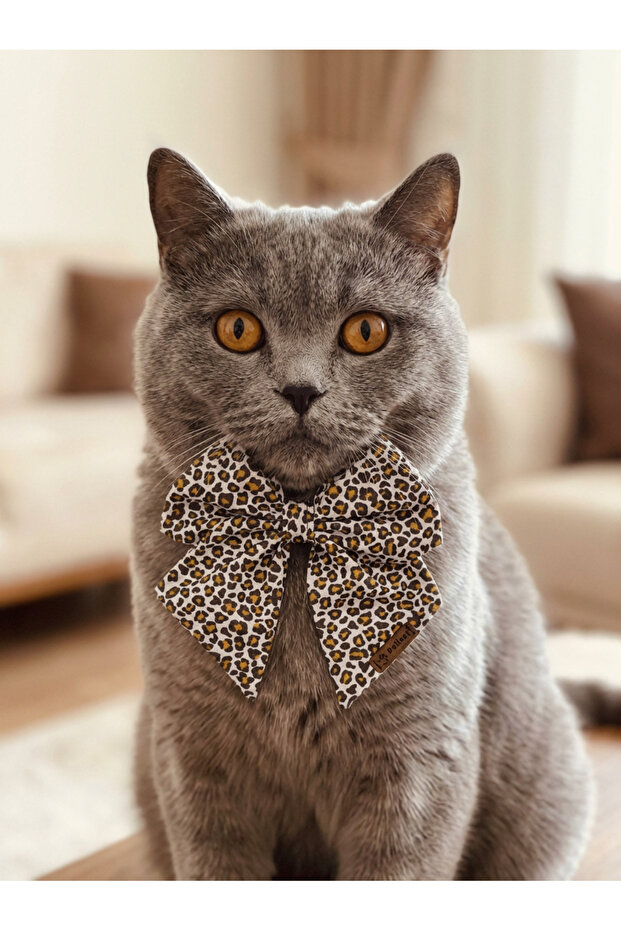 Tiny Leopard Print Black and Mustard Cat Bow Tie Ribbon - Pet Accessory Above Collar