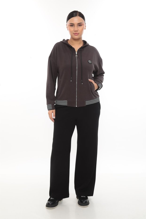 Women's Brown Seasonal Zippered Hooded Elastic Waist Paneled Accessories 2-Piece Tracksuit Set