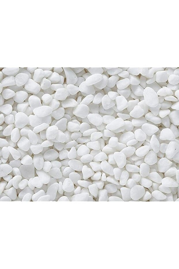 Small Pebbles Stones- 1kg (White)