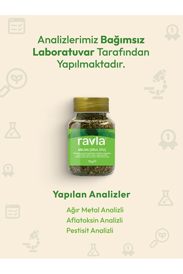 Melisa (Oğul Otu) - 15g - 3