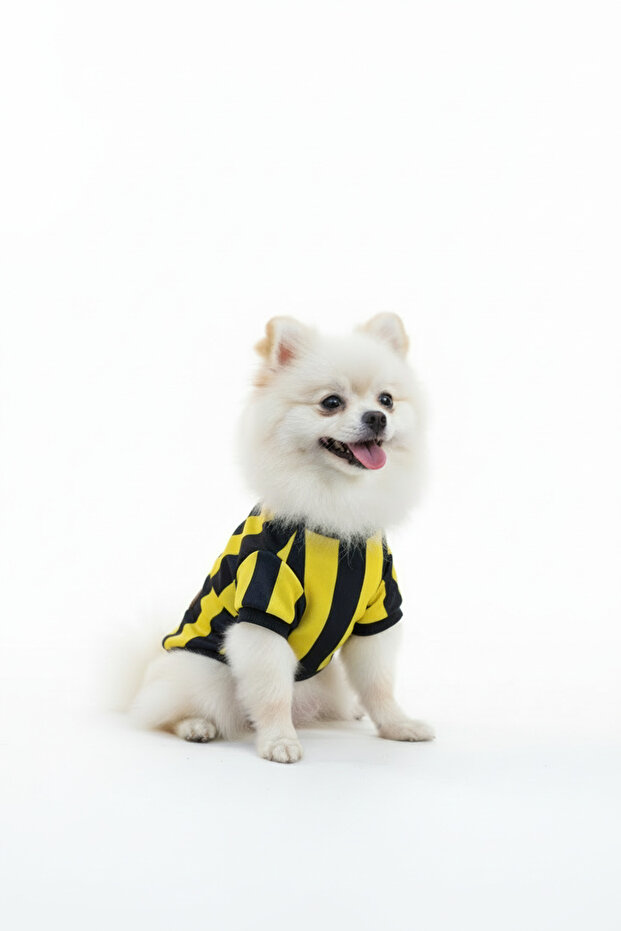 Cat-Dog Fan Jersey Yellow Navy Blue - Small Breed
