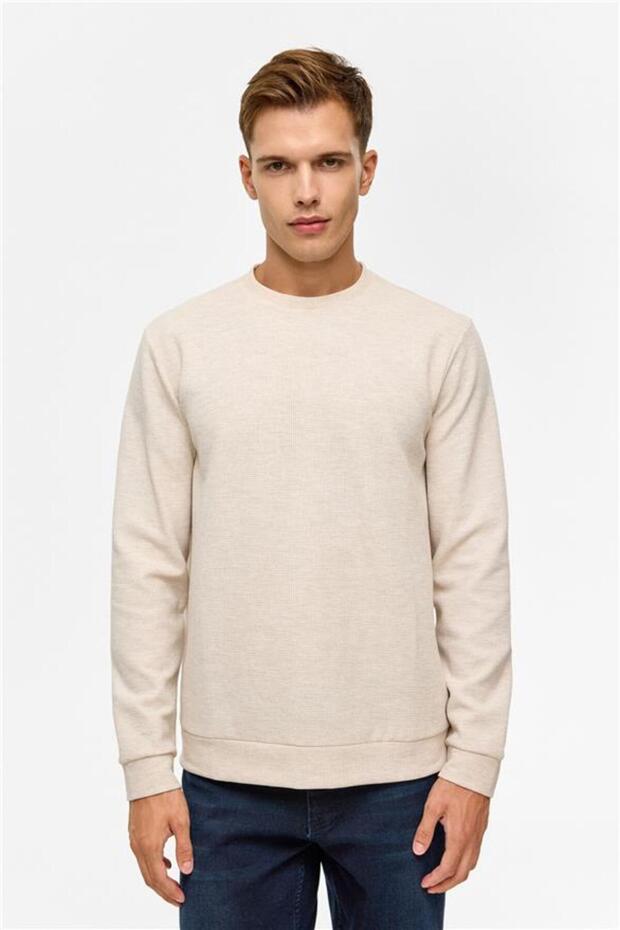 Bej Regular Düz Bisiklet Yaka Sweatshirt - 1