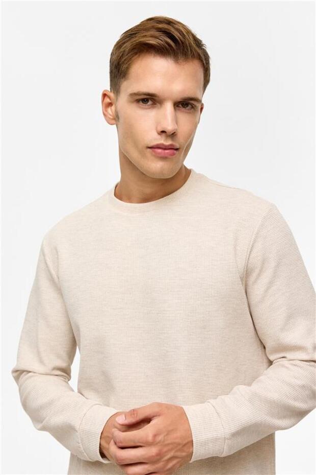 Bej Regular Düz Bisiklet Yaka Sweatshirt - 2