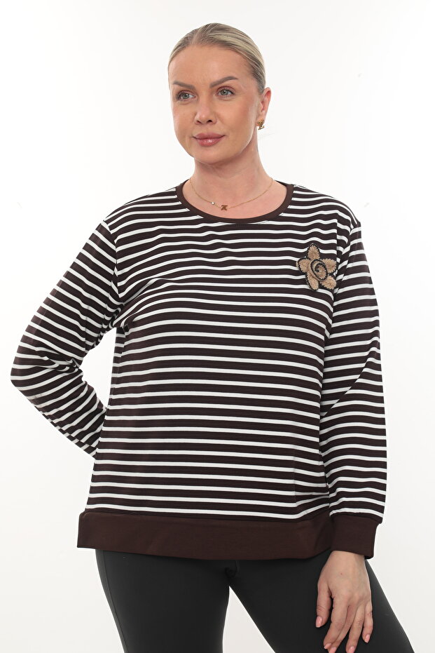 مقاس كبير. مودال مخطط - 1