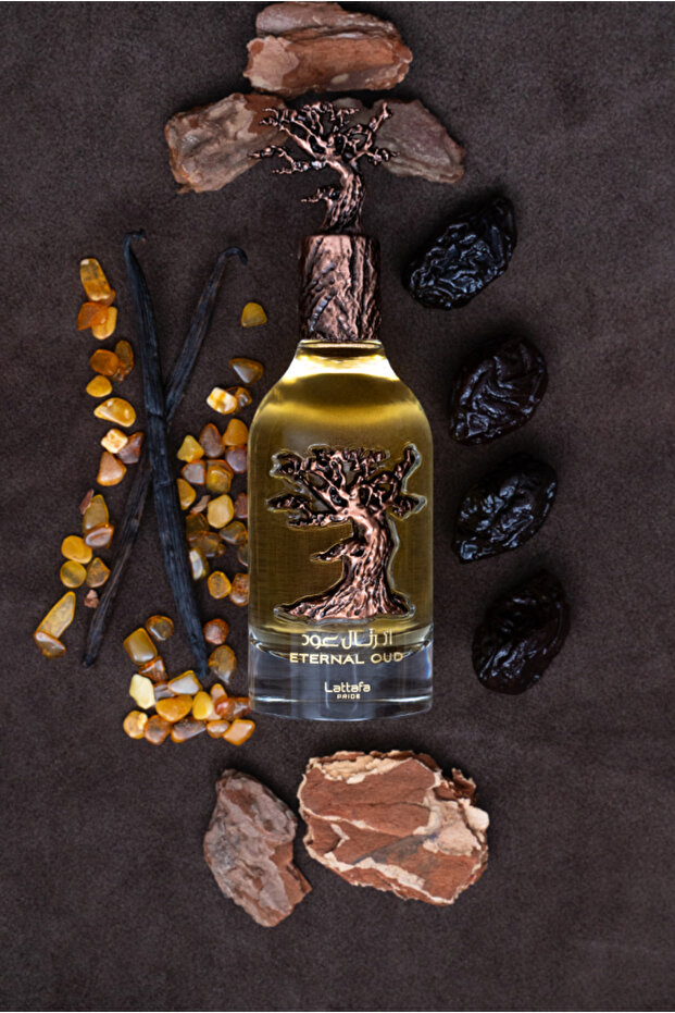 Pride Eternal Oud EDP 100 ML - 4