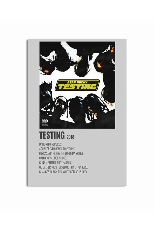 ALAYRA Rocky Poster Testing Album Poster Aesthetics room decor 40.. Unframed61X40.6 CM