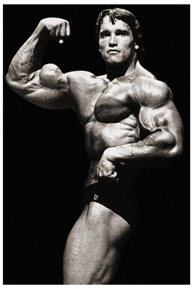 ALAYRA Arnold Schwarzenegger Canvas Poster for Living Room Bedroom Outdoor Party Gift Ind45X30 CM