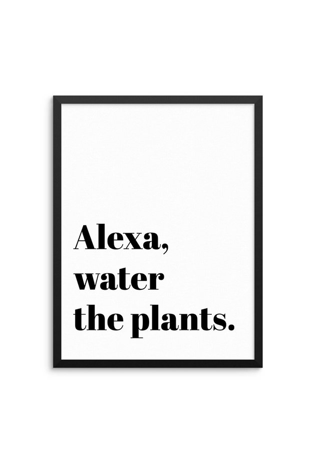 ALAYRA Sincerely, Not Funny Sarcastic Quote Art Print Water the Plants Wall Poster 11" x14 UNFRAMED Modern Black White Typography Artwork for Living Room Laundry Kitchen Bedroom25.4X25.4 CM