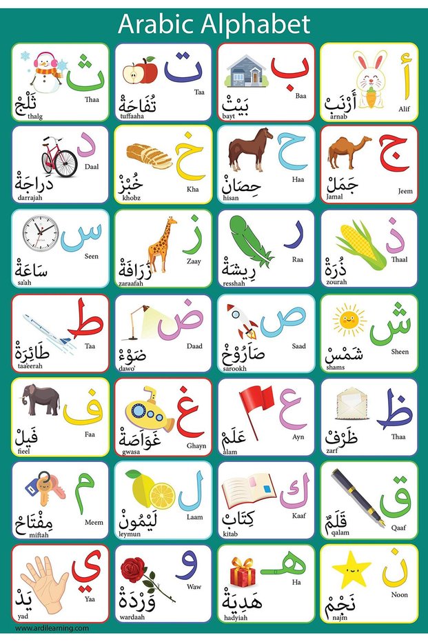 ALAYRA Ardi Laminated Arabic Alphabet Poster Perfect for Toddlers Kids Preschool & Kindergarten Classrooms48.3X33 CM
