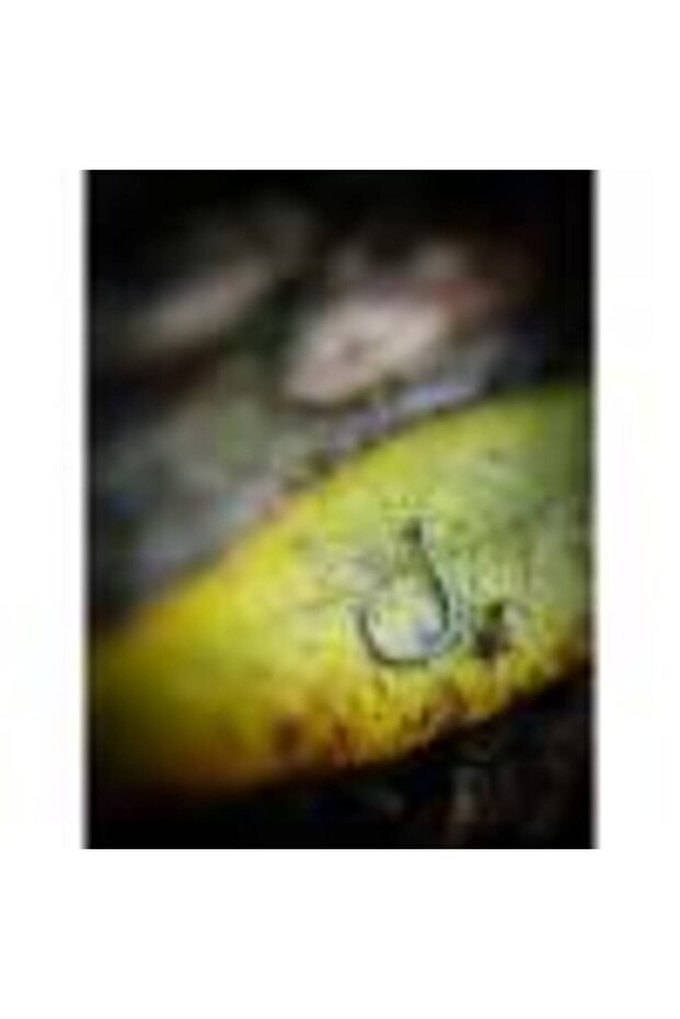 FX 112 Hooks Size 10 (#7) - 7