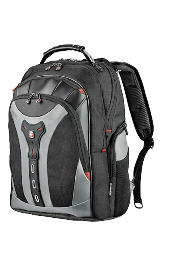 Pegasus 17 inch Computer Backpack, Blue - 2