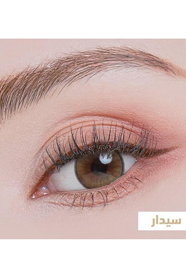 عدسات لاصقة ناعمة للاستخدام اليومي، عبوة واحدة، عبوة من 10 عدسات، لون سيدر