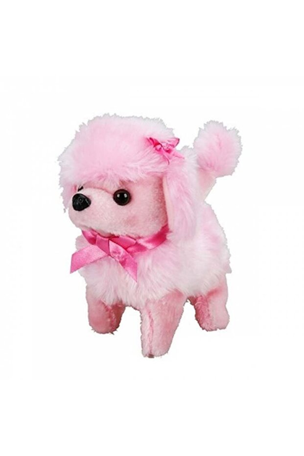 Nessiworldman Cute Dog Poodle