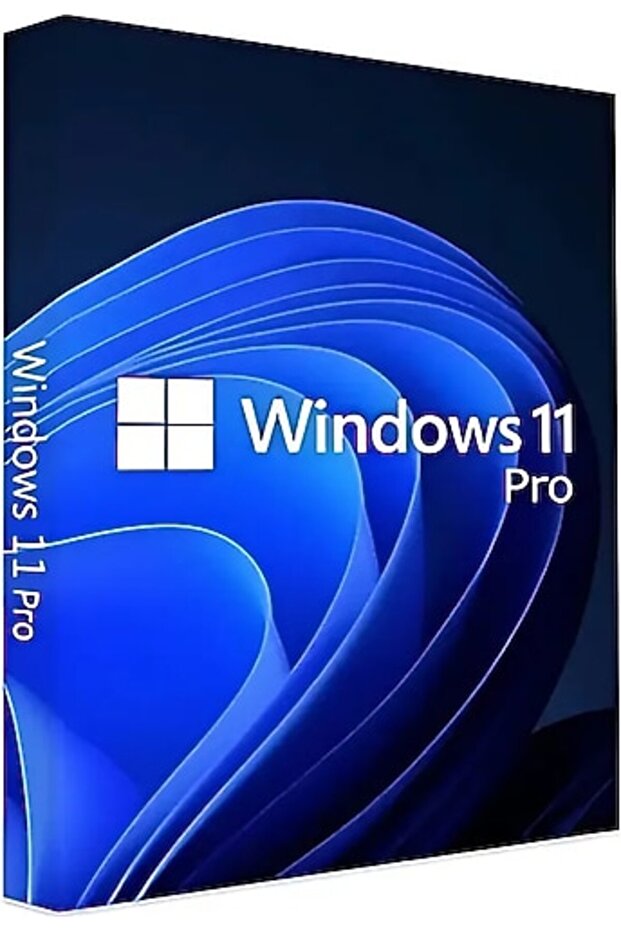 Windows 11 Pro Key - 1
