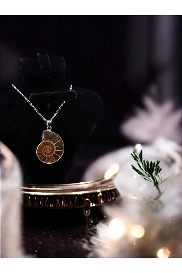 Ammonite Natural Stone Pendant Silver Chain Necklace