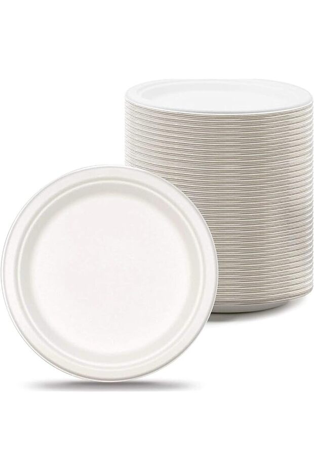 Friendly Bagasse Biodegradable Plate 10 Inch Disposable