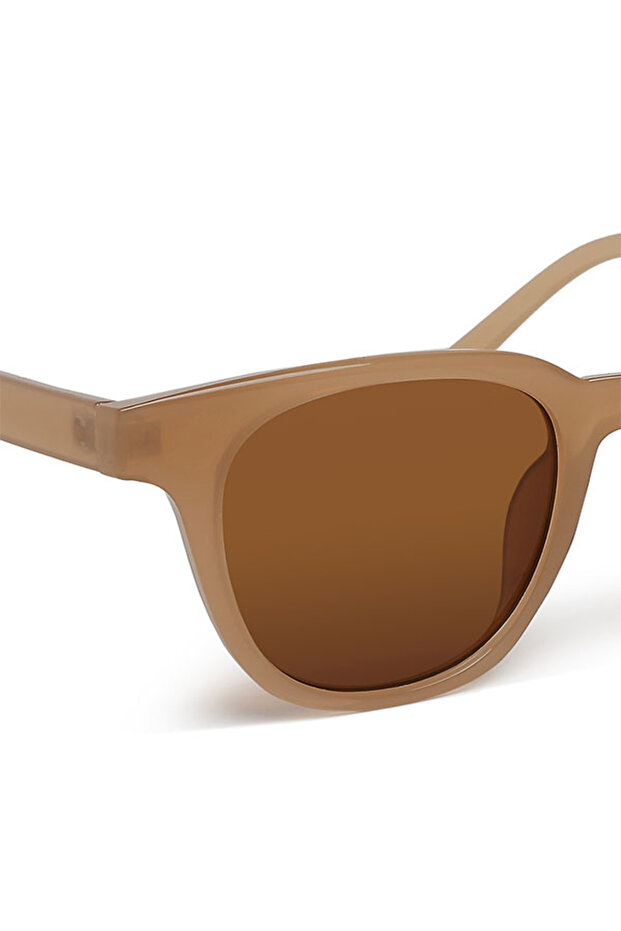 Women Square Cut Wayfarer Sunglasses in Brown