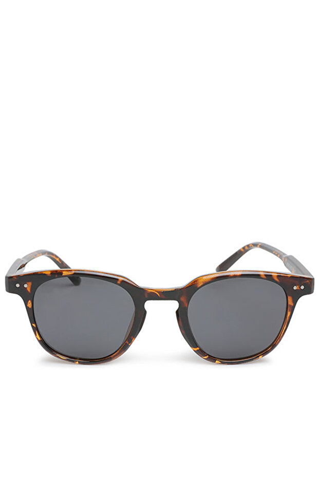 Women Round Wayfarer Sunglasses in Leopard