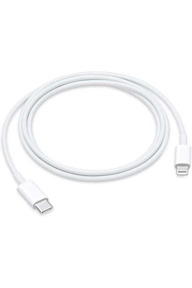 Lightning Cable Fast Charging & Hi-Speed Sync