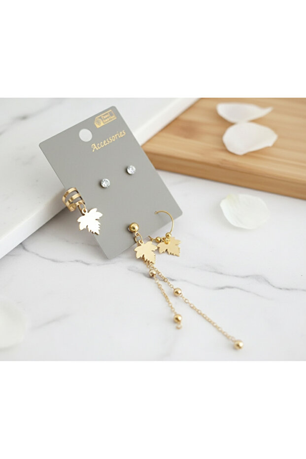 ورقة استرخى الغضروف - 1