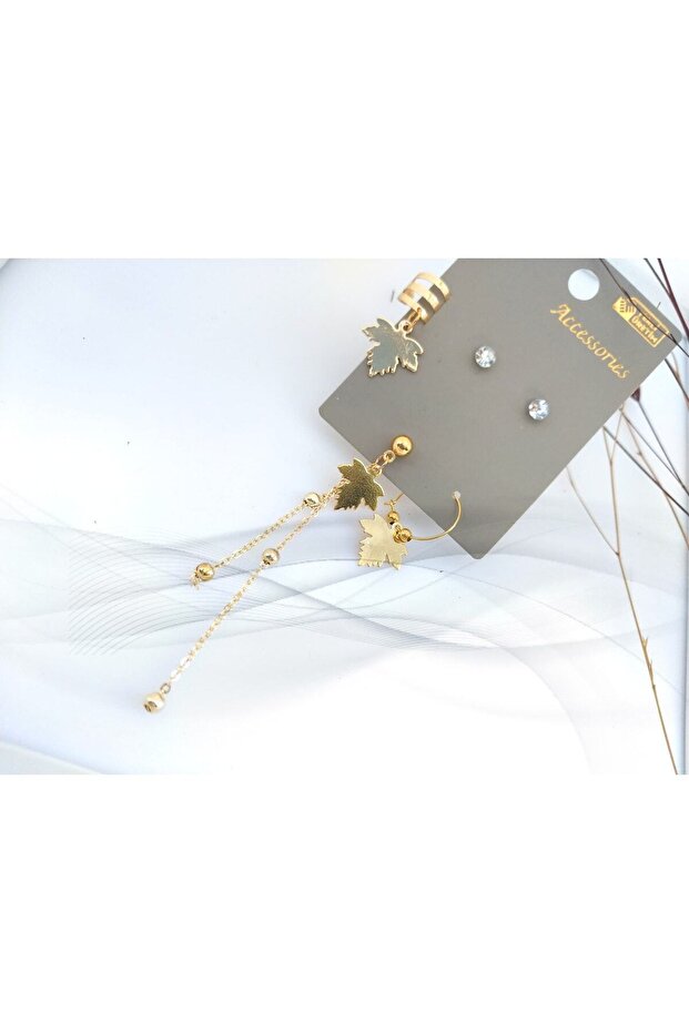 ورقة استرخى الغضروف - 2