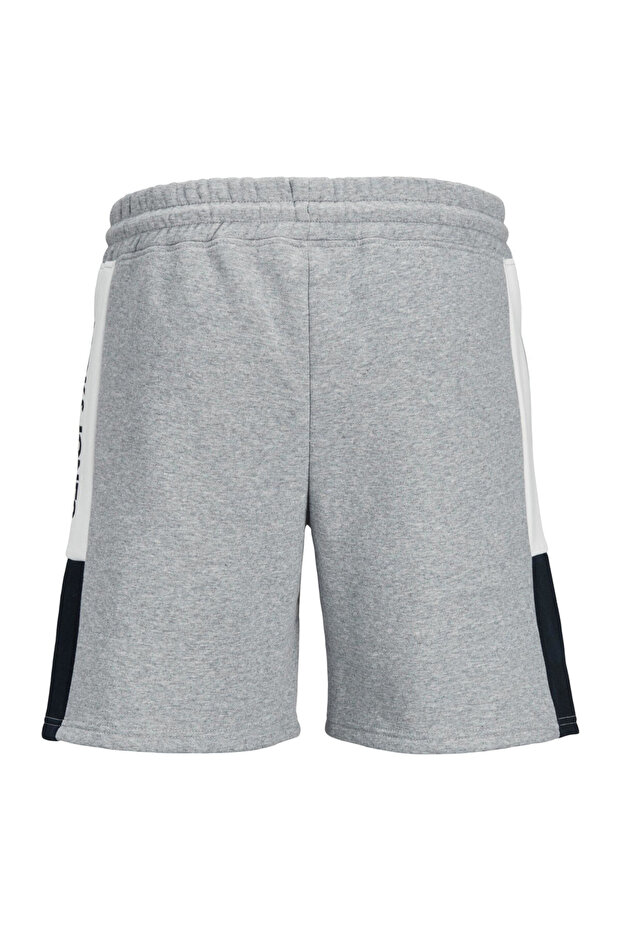 Şort Logo Bloklu Ter Şortları - 6