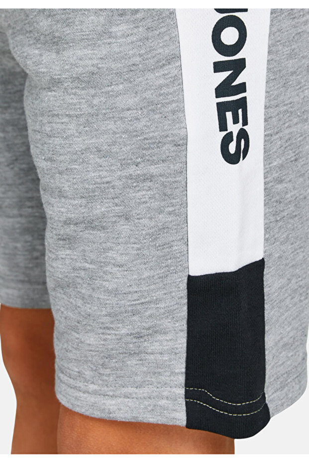 Şort Logo Bloklu Ter Şortları - 4