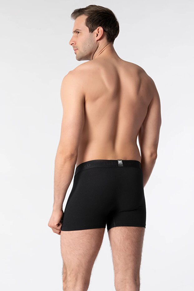 TER0114 Erkek Elastan Boxer - 4
