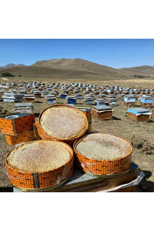 Tat Bal Karakovan Gerçek Bal 1.3kg - 5